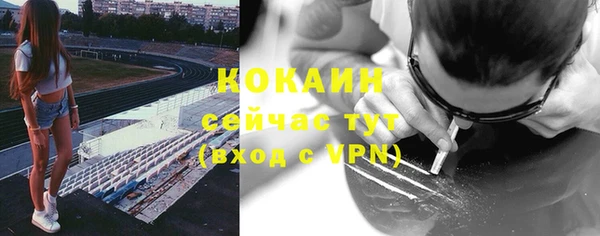 дмт Новокубанск