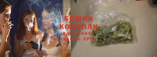 дмт Новокубанск