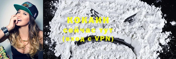 дмт Новокубанск