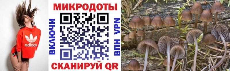 Псилоцибиновые грибы Cubensis Шарья